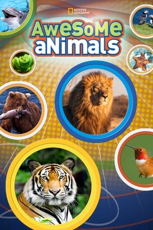 Awesome Animals Online free