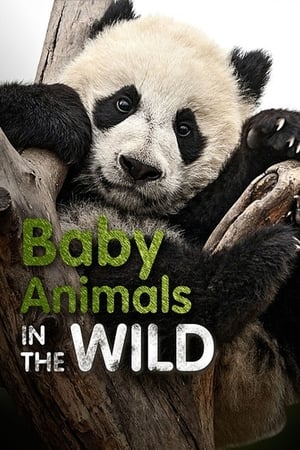 Baby Animals In The Wild T 1 C 7 online gratis