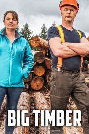 Big Timber online free