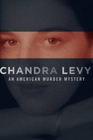 Chandra Levy: An American Murder Mystery Season 1 online free