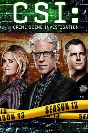 CSI: Crime Scene Investigation T 13 C 8 online gratis