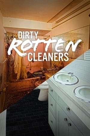 Dirty Rotten Cleaners online free