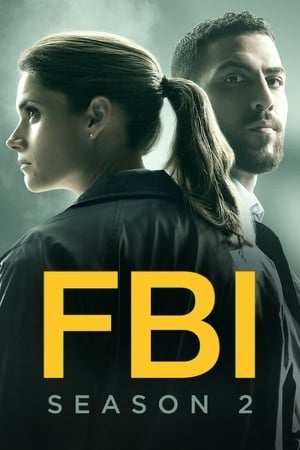 FBI Season  2 online