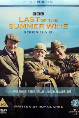 Last of the Summer Wine T 11 C 1 online gratis