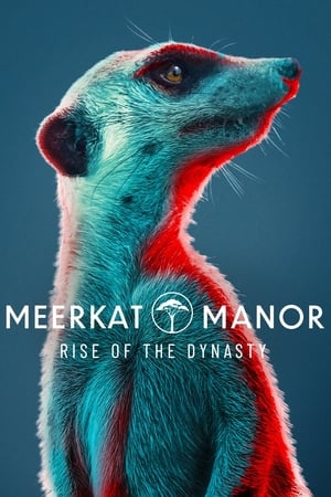 Meerkat Manor: Rise of the Dynasty T 1 C 9 online gratis