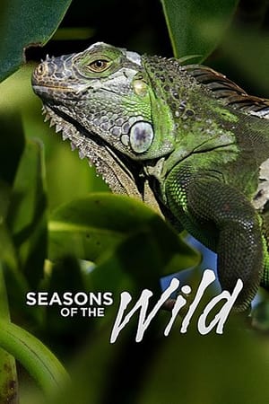 Seasons of the Wild Online free