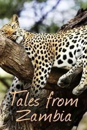 Tales from Zambia Season  1 online