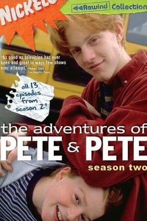 The Adventures of Pete & Pete Season  2 online