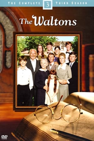 The Waltons Season  3 online