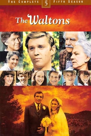 The Waltons Season  5 online