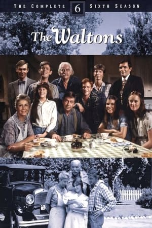 The Waltons Season  6 online