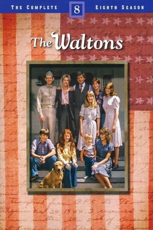 The Waltons Season  8 online