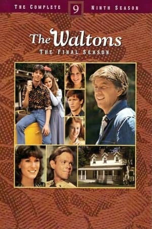 The Waltons Season  9 online